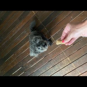 Meet your Posher, Alexandra